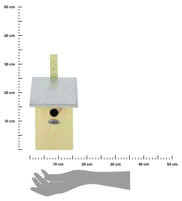 Fågelholk med spegel
