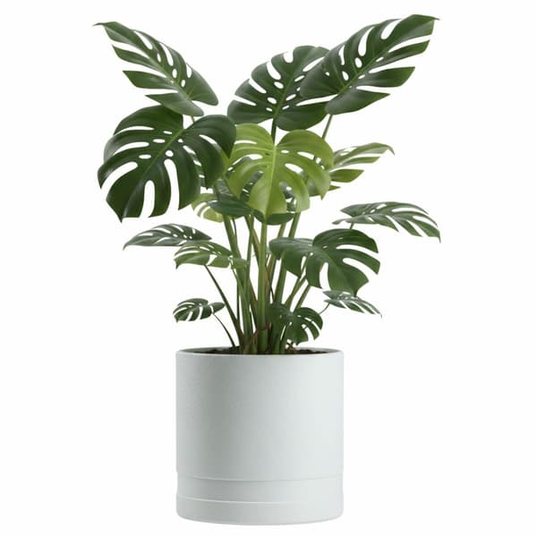 Luna blomkruka, cylinderformad, vit, 30,8 cm