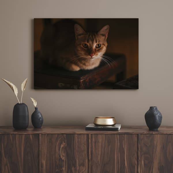 Lærredstryk Dyr Huskatte 120x80 cm