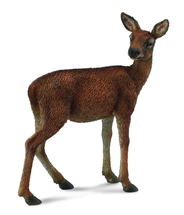 Naaras
