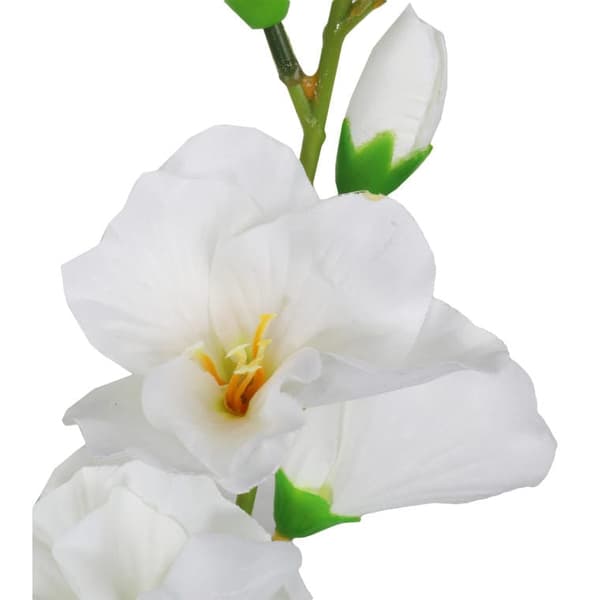 Fem hvide gladioler - Buket, højde 60 cm