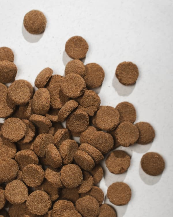 Half&Half Premium torrfoder för vuxna stora raser av nötkött 2 kg