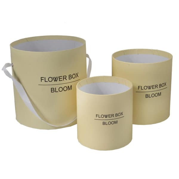 Blommaskin presentdekoration kräm medium