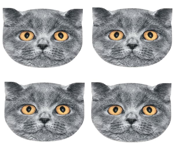 4D Katte Bordmåttesæt - LEON
