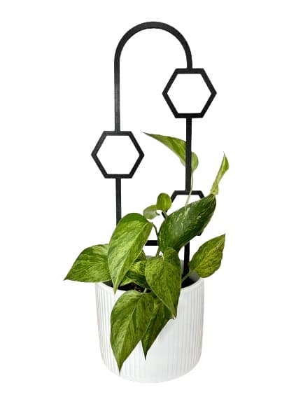 Stöd för klätterväxter Stöd för klätterblommor Pergolastege 38 cm