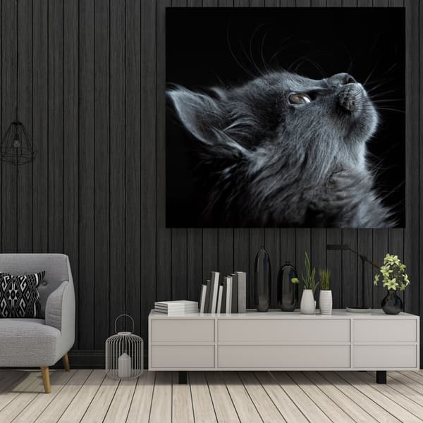 Canvastaulu Eläimet Kissa 80x80 cm