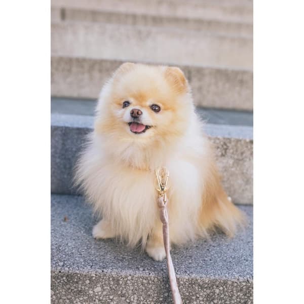 Hundekobber sort 3 m