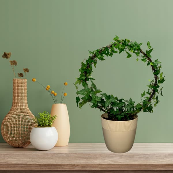 Stöd för klätterväxter Stöd för klätterblommor Pergolastege L 34 cm