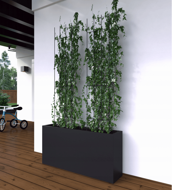 TG77602 PERGOLA-KANT 3 ST/SET