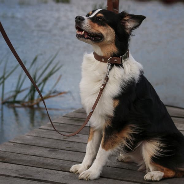 Hexa city hundkoppel, bredd 16 mm, M, 2,2 m/ brunt