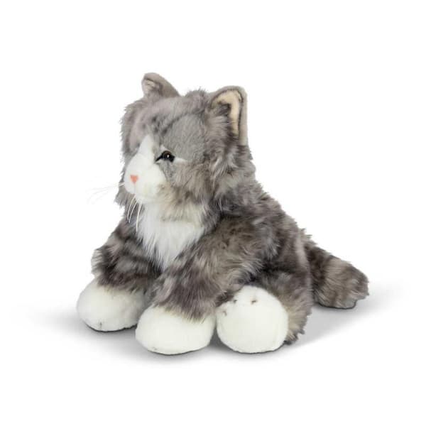 Fluffy kat