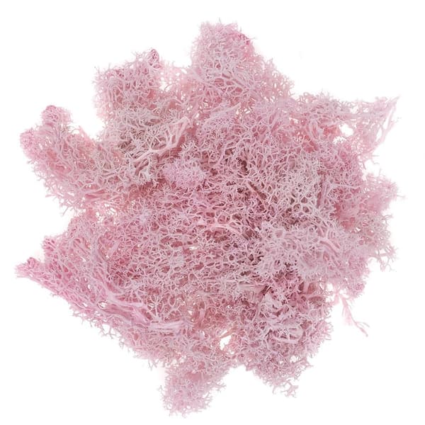 Vaaleanpunainen sammal 30g