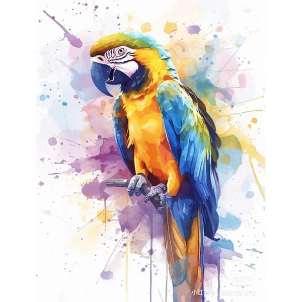 Maalaus numeroiden mukaan 40x50cm Papukaija