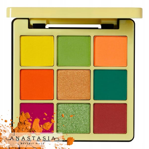 ANASTASIA BEVERLY HILLS ABH Mini NORVINA Bind 2