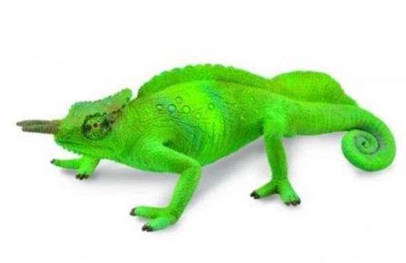 Vuorikameleontti