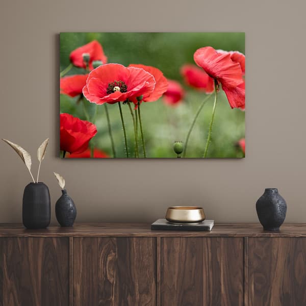 Lærredstryk Botanik Røde Valmuer 80x40 cm