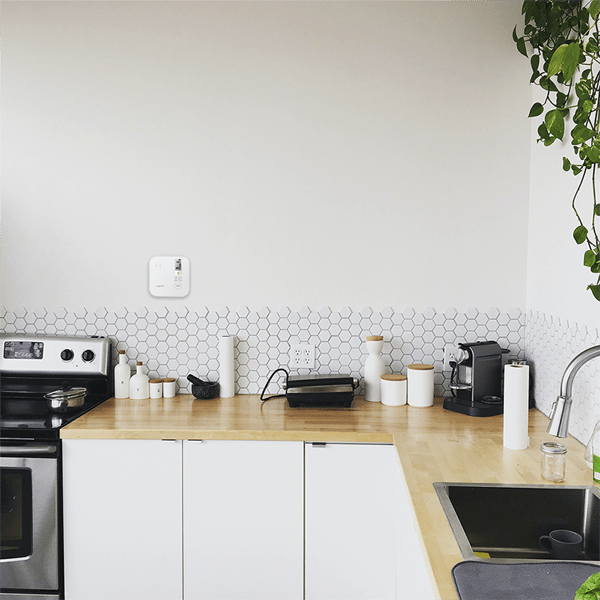 LogiLink kolmonoxiddetektor med sensor, 10 års batteritid, 85 dB larm