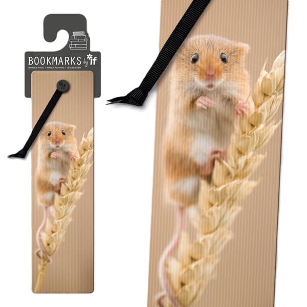 3D Bogmærke 15407 - Mus