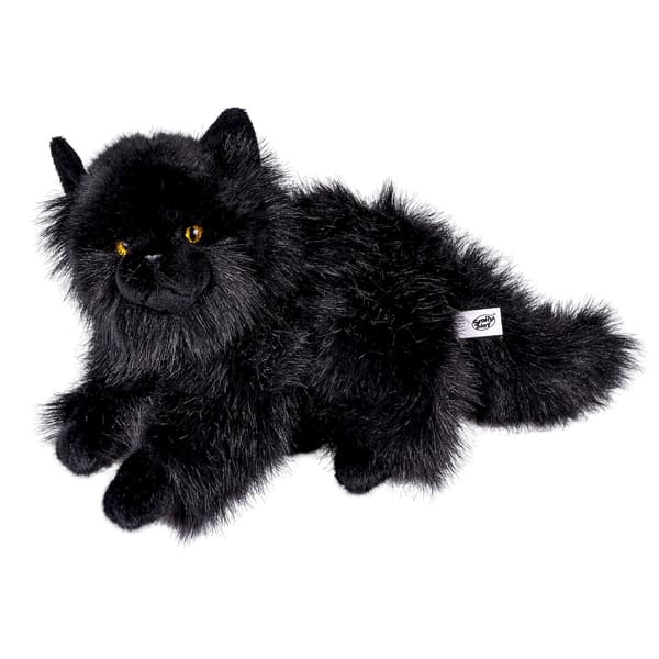SVART KATT