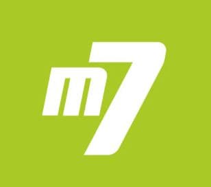 Litteä maalisivellin m7 25 mm sarja 30