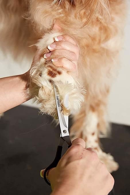 Kæledyrsplejesaks til hunde og katte