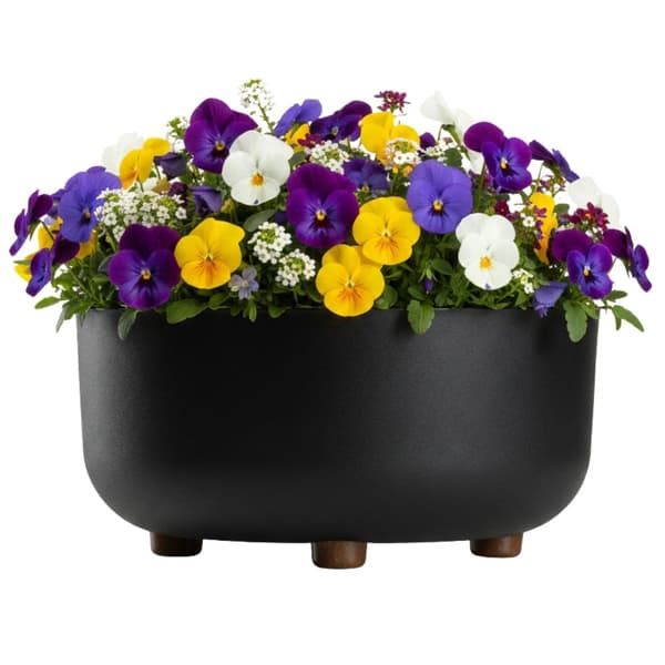 Sæt med terrakotta blomsterskåle på ben af genbrugsmateriale, sorte, 2 stk.