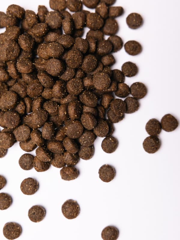 Salta torrfoder för hundar, vuxen anka och kanin, alla raser, 1 kg
