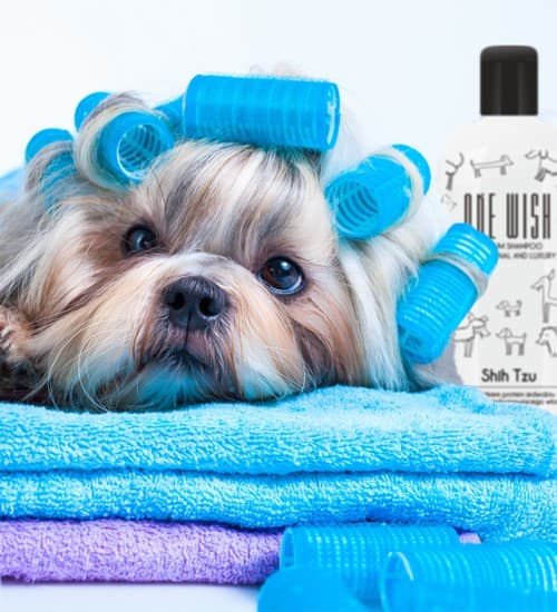 ONE wish Shampoo til Shih Tzu hunde 250 ml