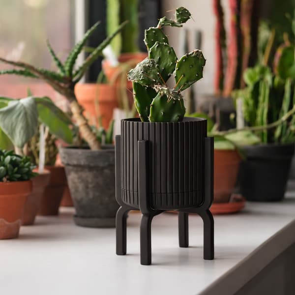 Moderne, rillet sort urtepotte med plantefod