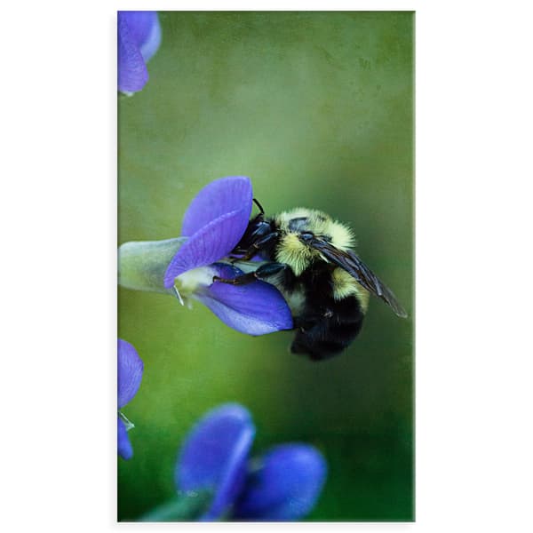 Canvastaulu Botany Bee flower 70x120 cm