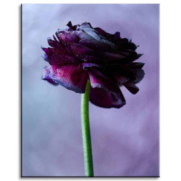 Lærredstryk Botanik Lilla blomst 40x50 cm