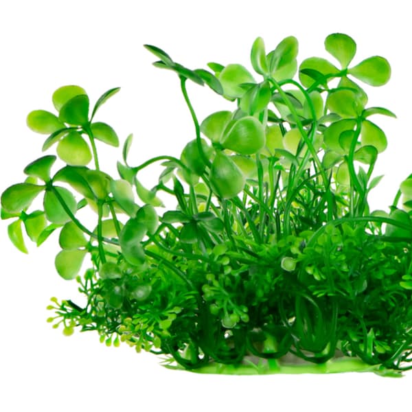 Kruger Meier Plant Lucky Clover - tekokasvi
