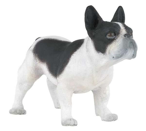 Fransk bulldog