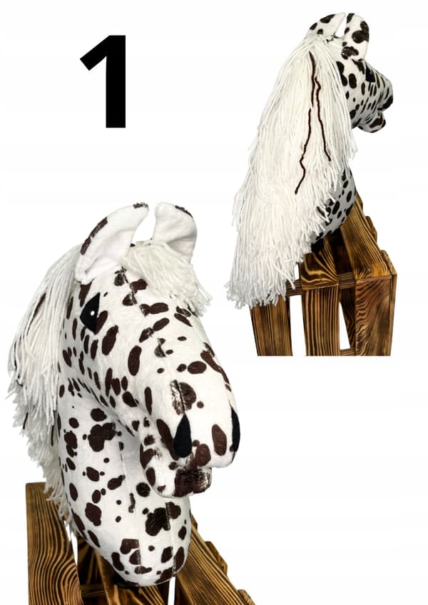 KAMPANJA - KEPPIHEVOSTERASSI - APPALOOSA Koko A4
