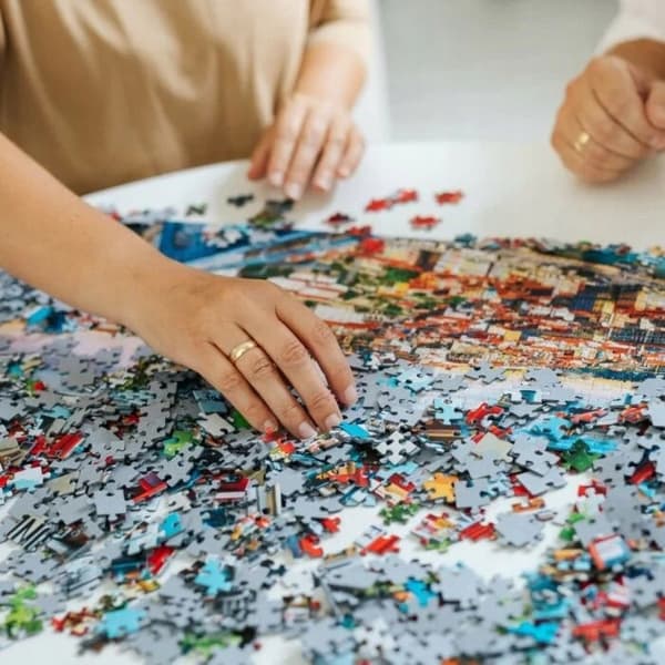 PALAPELI 1000 JUHLA SIILI 40042