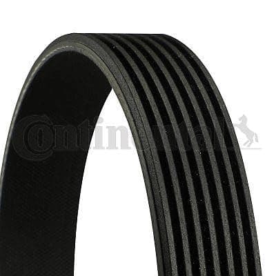 CONTITECH 7 PK 2000 flerribbat remband