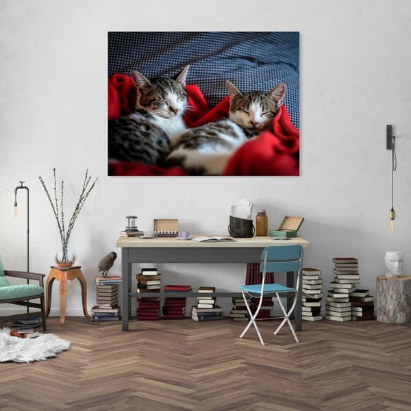 Canvastavla Djur Sovande kattungar 120x60 cm