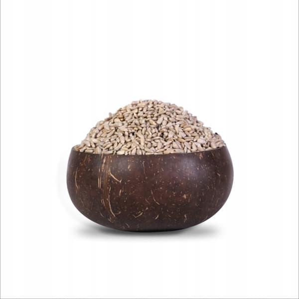 STORA skalade SOLROSFRÖN 500g Naturini