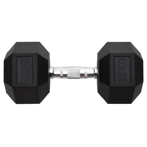 vidaXL Hantel, 25 kg, gjutjärn