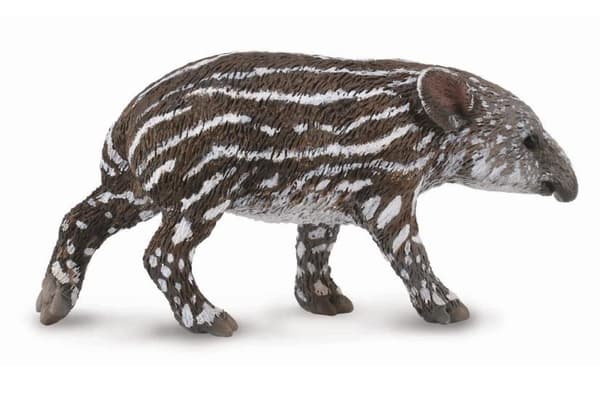 Bairds tapirkalv
