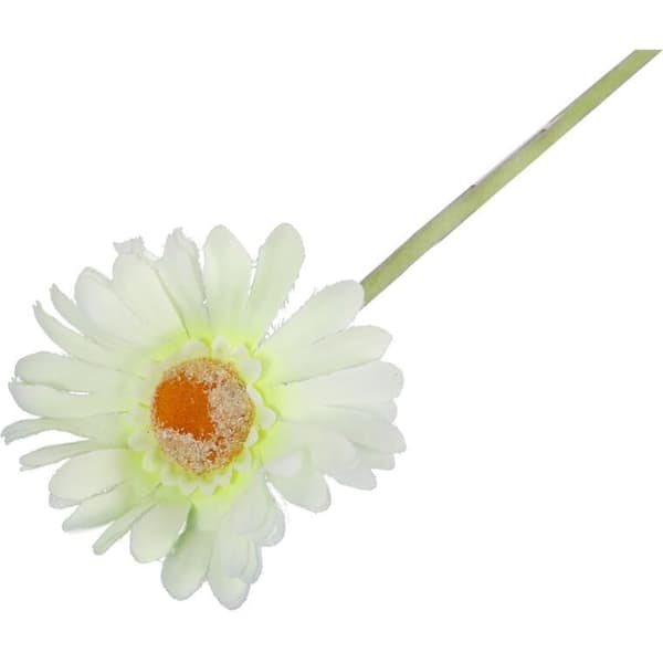 Dekorativ Gerbera naturgetrogen vit och grön 55cm
