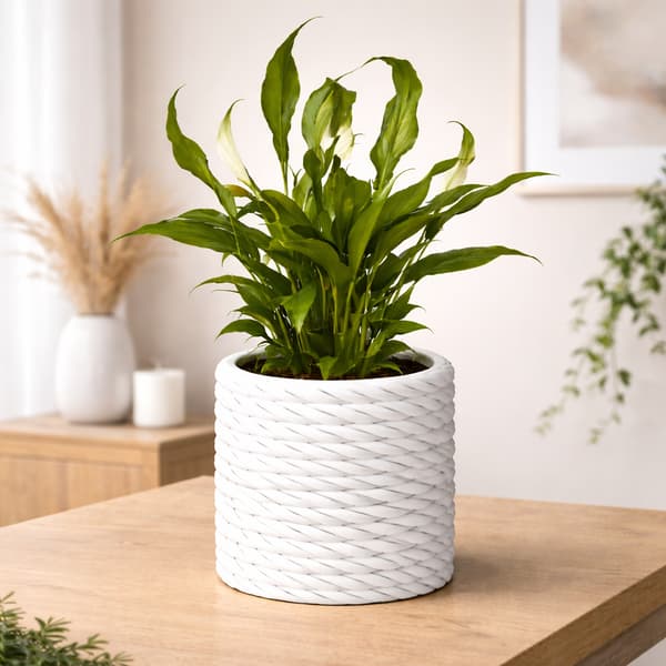 Dekorativ vit blomkruka med flätat mönster