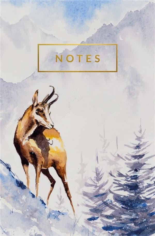 Bjerge Notesbog