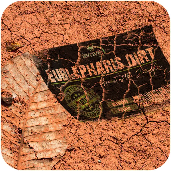 Terrario Eublepharis Dirt 1 kg - substrat til leopardgekkoer