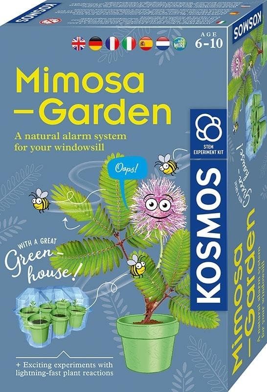 Mimosa Have