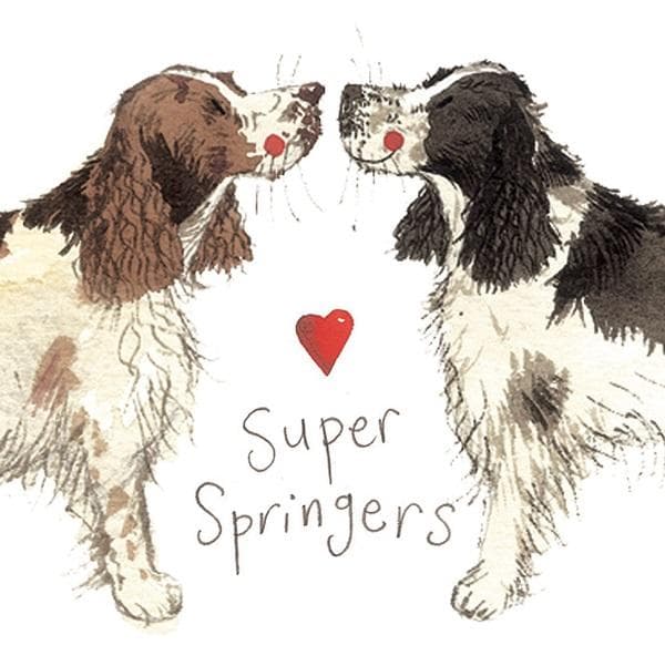 Magnet FM02 Springer Spaniel