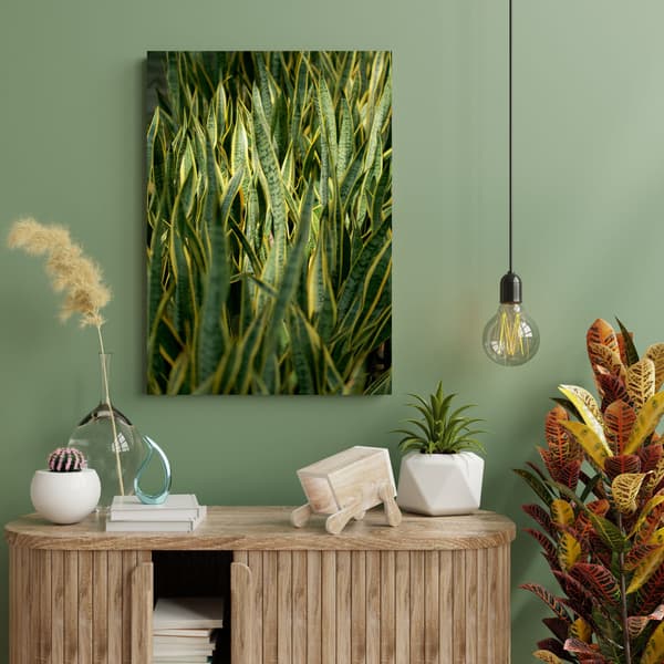 Canvastaulu Kasvitiede Vihreä ruoho 60x90 cm