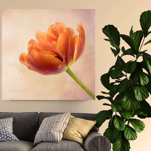 Canvastavla Botanik Tulpan 60x60 cm