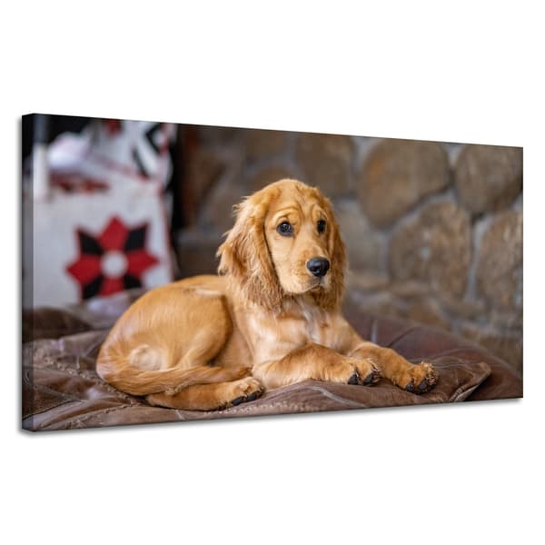 Lærredstryk Dyr Cocker Dog 120x60 cm