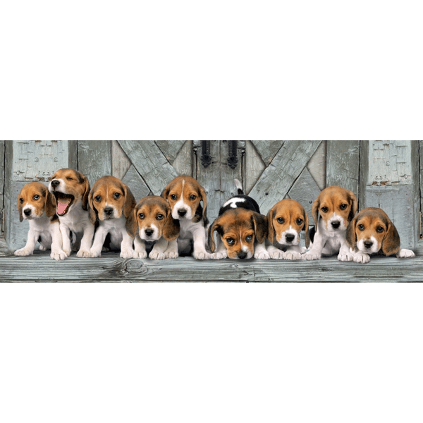 Pussel 1000 bitar Panorama. HQ Beagles